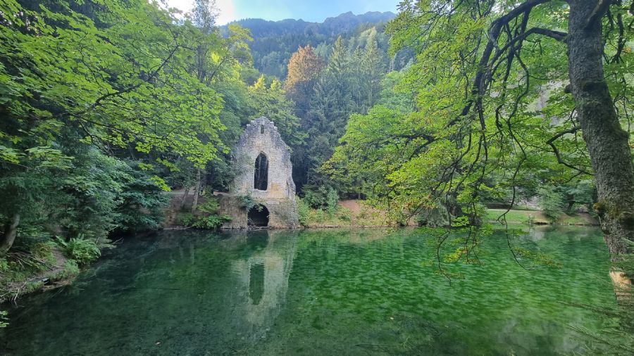 שאמוני והאלפים הצרפתיים